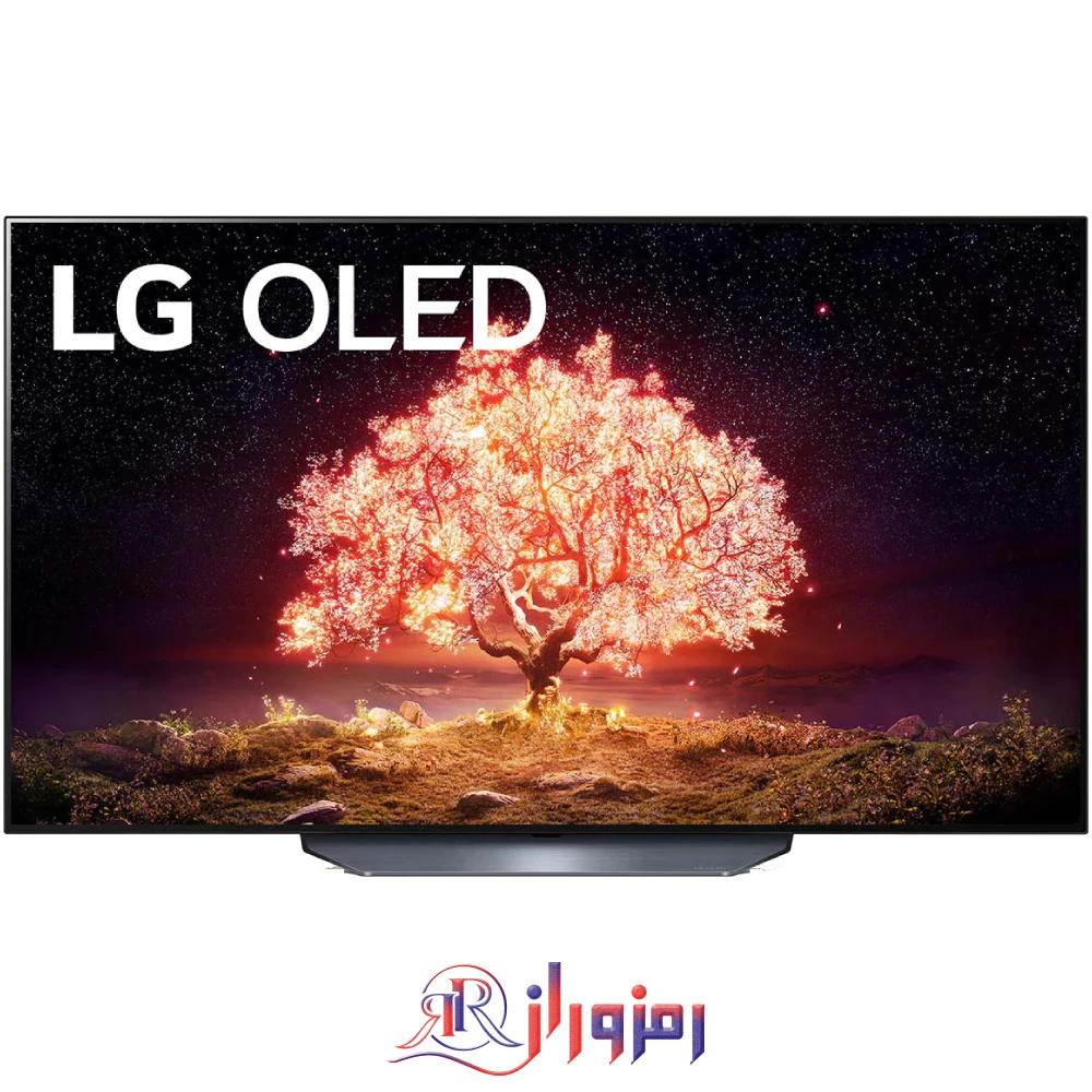 OLED B1